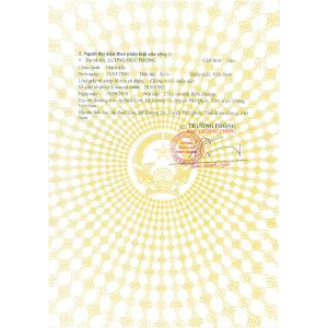 Giấy phép và chứng chỉ